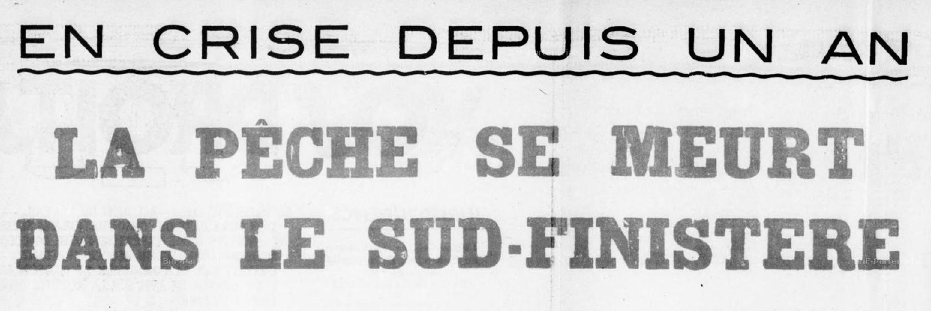 Capture d'écran 2026 02 03 175304